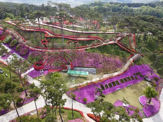 홍성솔바람테마파크 사진