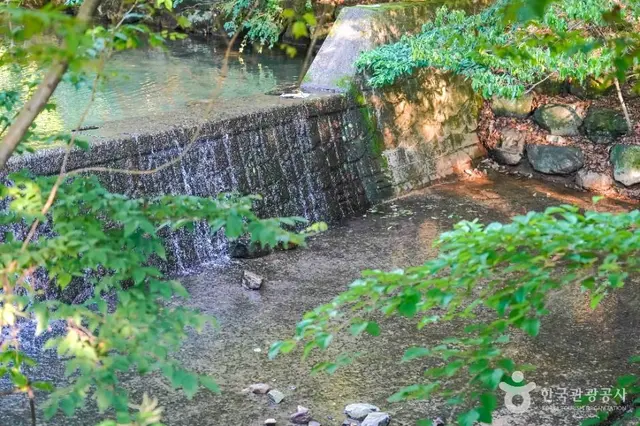 금화계곡 사진
