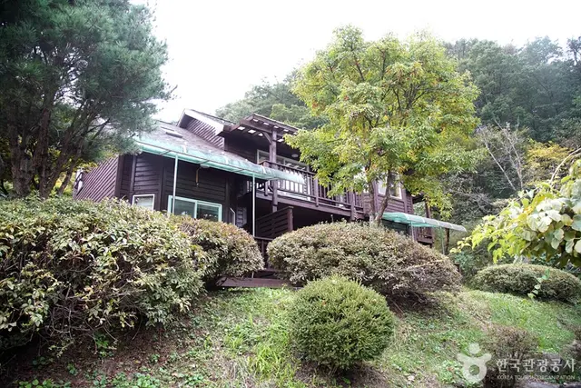 국립 백운산자연휴양림(원주) 사진