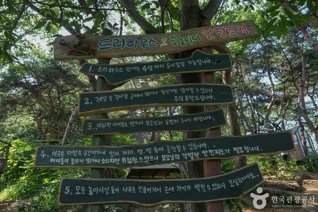 톰아저씨트리하우스 사진