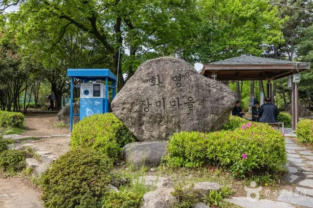장미원 사진