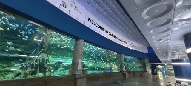 대전아쿠아리움 사진