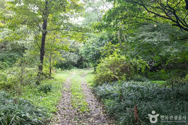 기청산식물원 사진