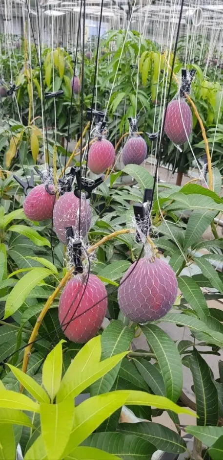 다향농장 사진