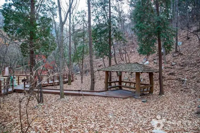 울산수목원 사진