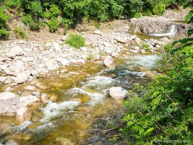 치산계곡 사진