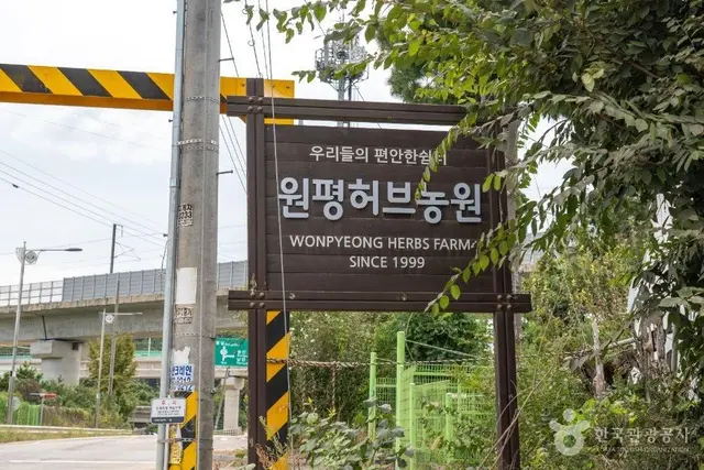 원평허브농원 사진