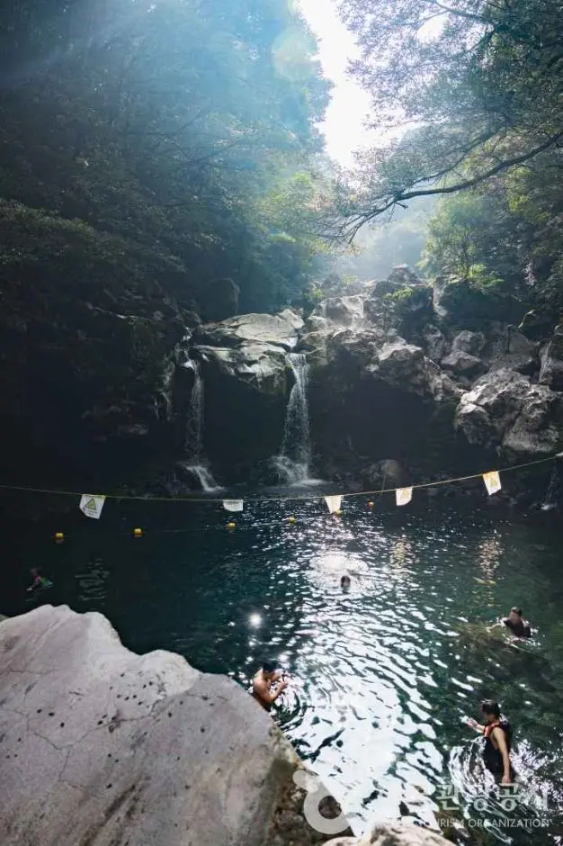 돈내코유원지 사진