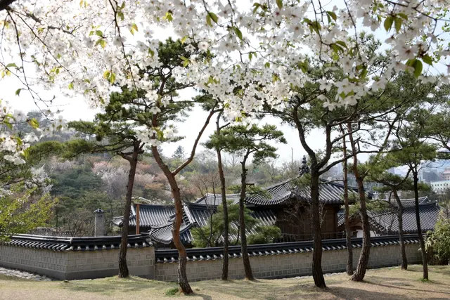 남산골한옥마을 사진