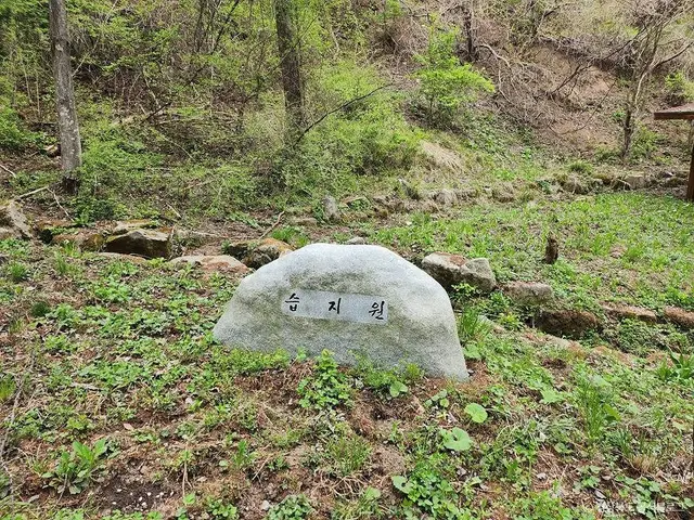 국립김천치유의숲 사진