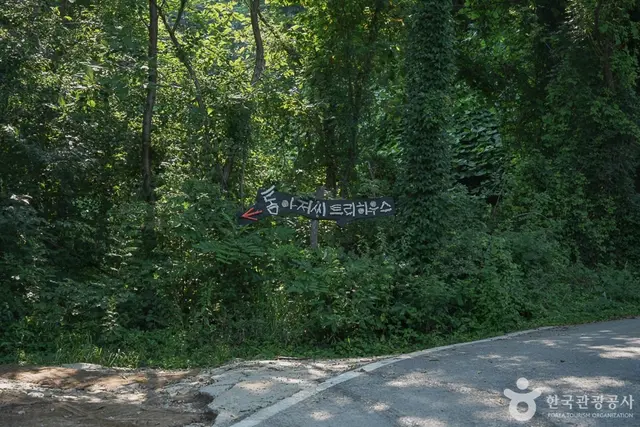 톰아저씨트리하우스 사진