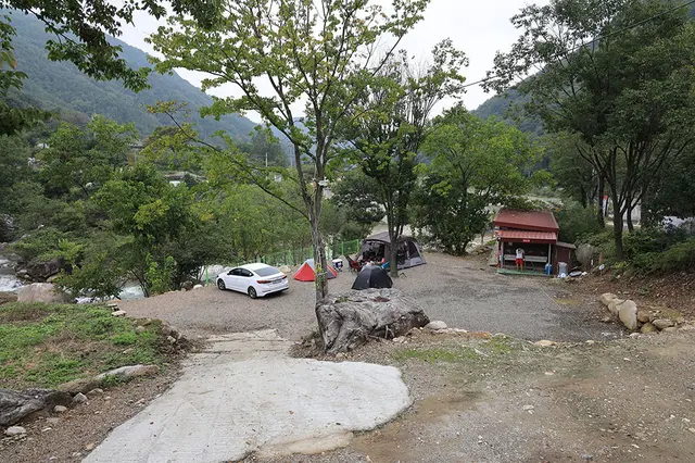 상비오토캠핑 사진