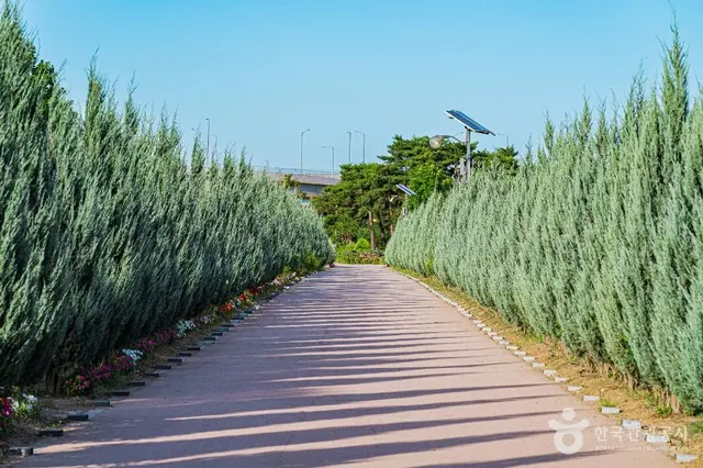 구리한강시민공원 사진