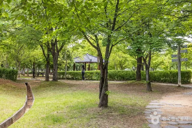 오송호수공원 사진