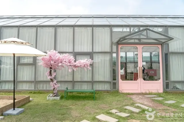 포레스트벨 사진