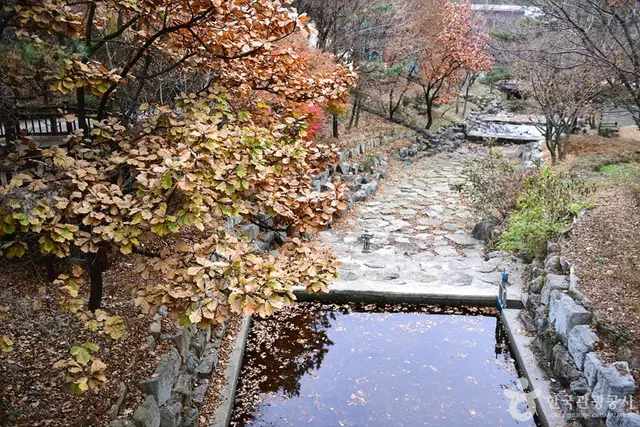 흑석산 자연휴양림 사진
