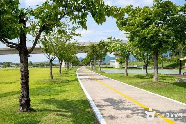 칠곡보 생태공원 사진