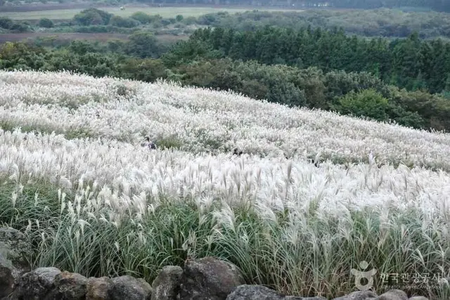 산굼부리 사진