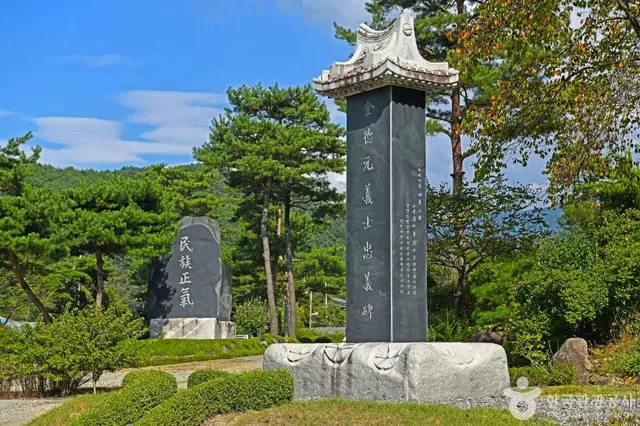 홍천 척야산 문화수목원 사진