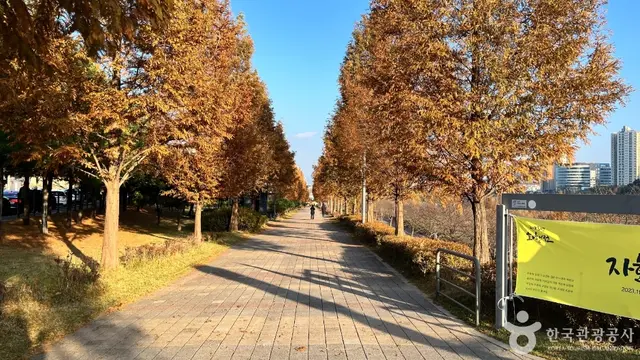 운정호수공원 유아숲체험원 사진