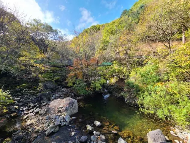 국립 지리산자연휴양림 사진