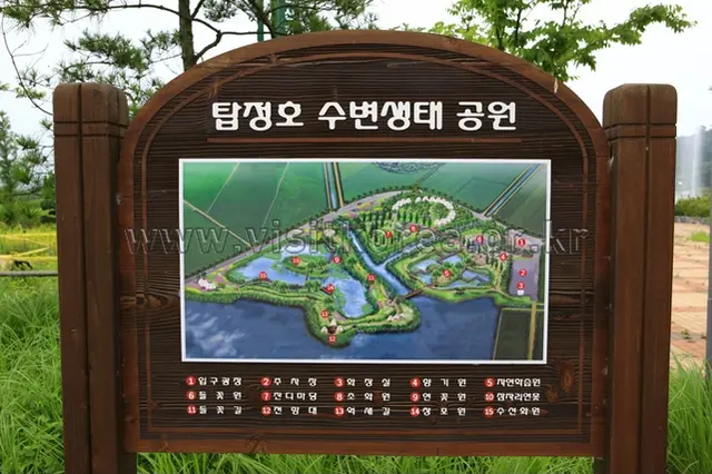 탑정호 수변생태공원 사진