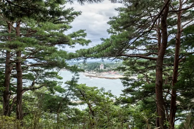 죽도정·죽도 전망대 사진