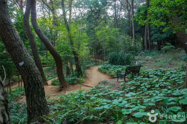 금강공원 사진