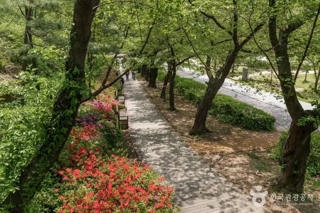 북서울꿈의숲 유아숲체험원 사진