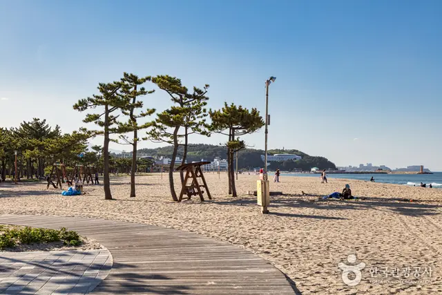낙산해수욕장 사진