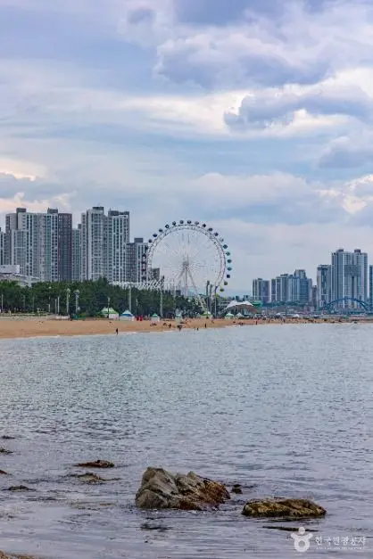 속초아이대관람차 사진