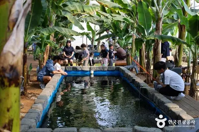 함평바나나생태나라 사진