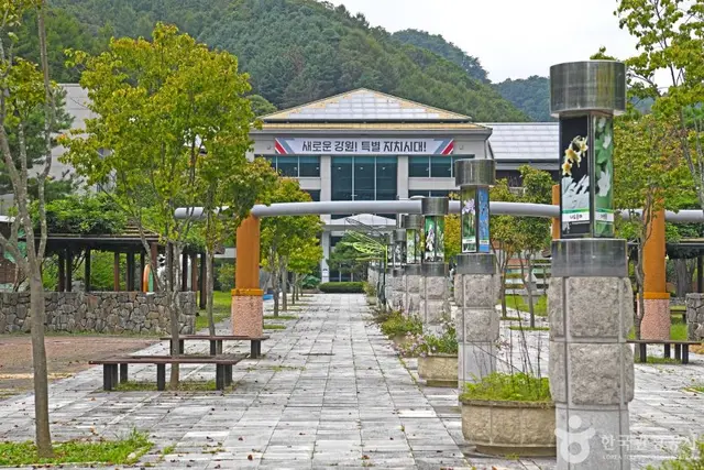 강원특별자치도자연환경연구공원자연체험장 사진