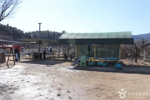 포니힐링관광농원 (힐링공유팜) 사진