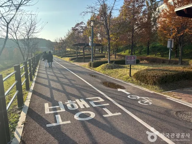 운정호수공원 유아숲체험원 사진