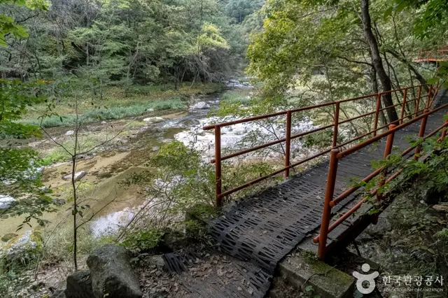 공작산생태숲 사진