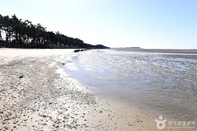 만돌갯벌체험학습장 사진