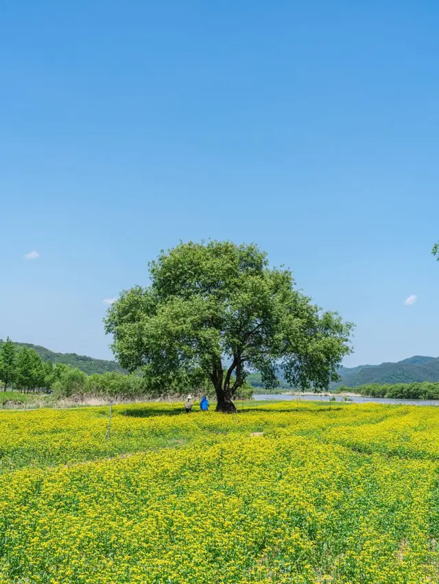 핫들생태공원 사진