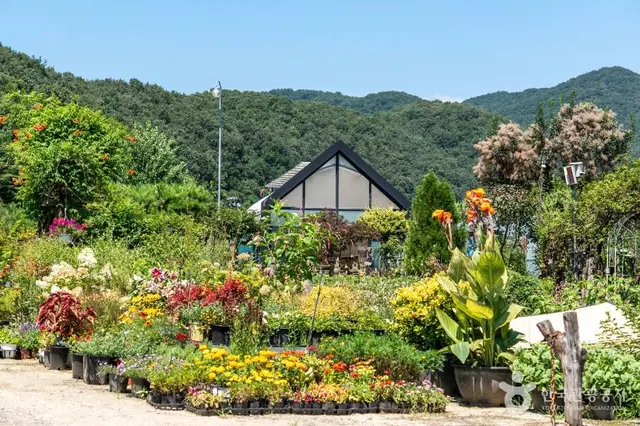 퇴촌식물원 사진