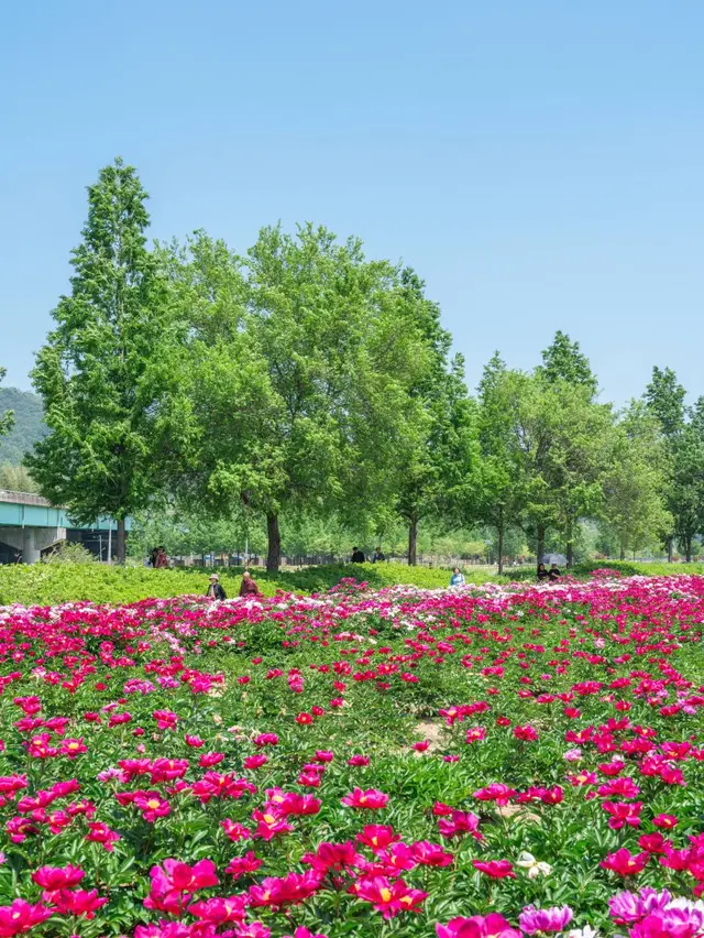 핫들생태공원 사진