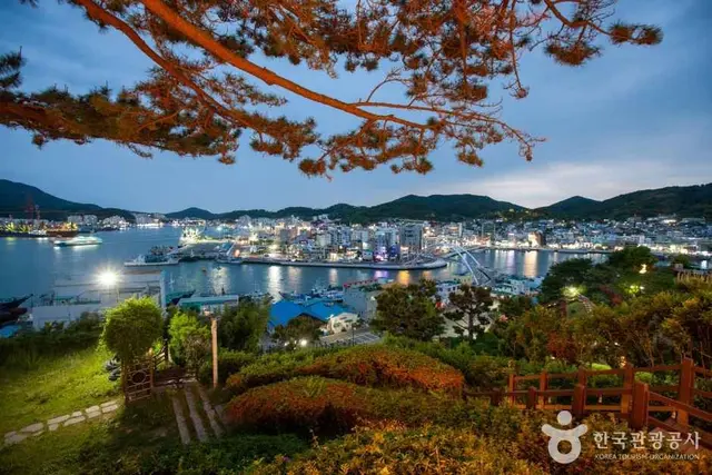 디피랑 사진