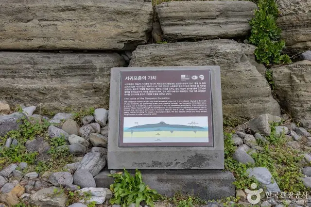 서귀포 패류화석산지 사진