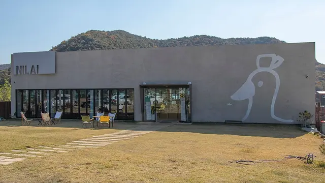 닐라이 사진
