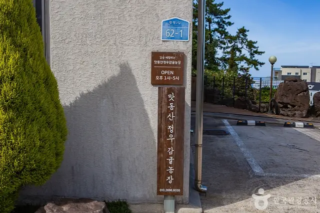 맛동산 감귤체험농장 사진