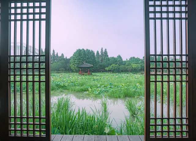 덕진공원 사진