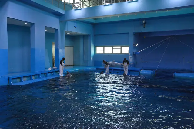 장생포 고래생태체험관 사진