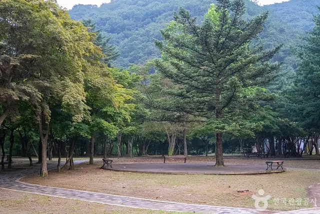 영국군 설마리전투추모공원 사진
