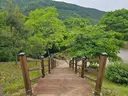 천보산 자연휴양림 사진