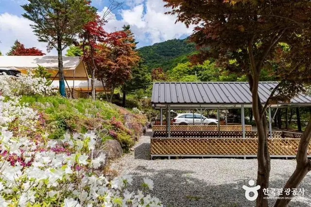 달재오토캠핑장 사진
