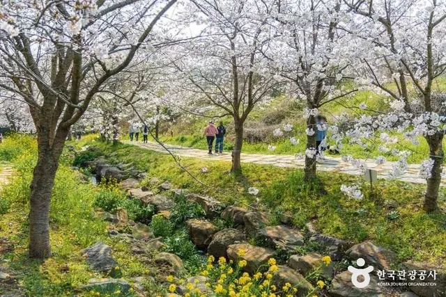 대왕수천예래생태공원 사진